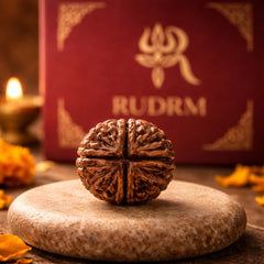 Rudraksha bead placed on a stone surface with the 'RUDRM' logo in the background, accompanied by a lit oil lamp and marigold petals, creating a peaceful and spiritual ambiance.