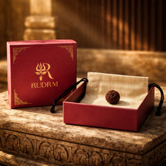 Rudraksha bead placed inside a maroon 'RUDRM' box with a beige pouch, set on a stone surface with a serene background, creating a peaceful and spiritual ambiance.